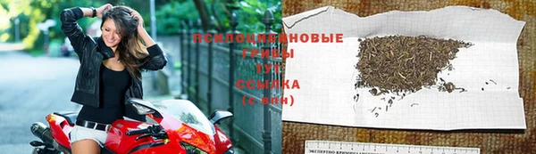 2c-b Нягань