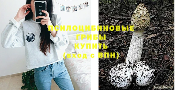 синтетический гашиш Няндома