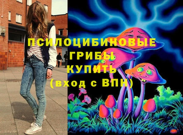 шишки Горняк