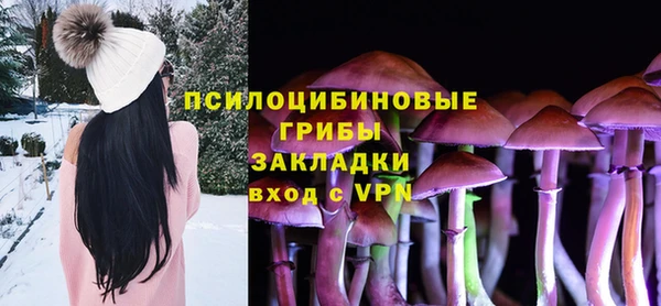 хмурый Нязепетровск
