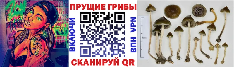 Галлюциногенные грибы прущие грибы  купить  сайты  Ковдор 